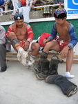 Naadam