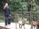 Hmong Village